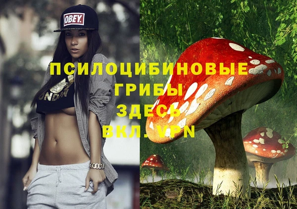 соль ск Новозыбков