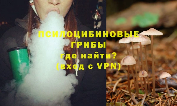 эйфоретик Новокубанск