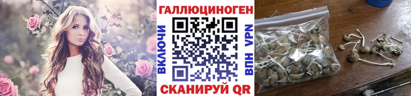 Псилоцибиновые грибы MAGIC MUSHROOMS  где купить наркотик  Малоархангельск 